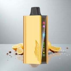 JNR Cruiser 12000 Puffs Lataukseton Disposable Vape Cool Fanta 3500 mAh Akku 25ml Neste 1.2ohm Dual Mesh Käämi