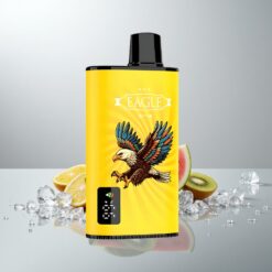 JNR EAGLE Smart 23000 Puffs Kivi-Vesimeloni-Jää Näyttö 1.0ohm 750mAh 25ml