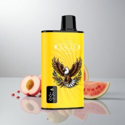 JNR EAGLE Smart 23000 Puffs Persikka Mango Vesimeloni Näyttö 1.0ohm Verkkokäämi 750mAh
