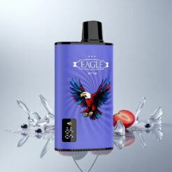 JNR EAGLE Smart 23000 Puhallus Sininen Vadelma-Kirsikka Näyttö 1.0ohm 750mAh