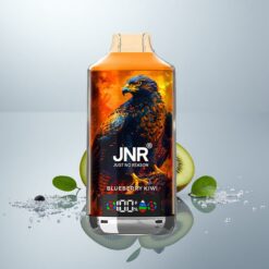 JNR Falcon X 18000 Puffs Mustikka-Kiivi 750mAh 24ml Digitaalinäyttö Type-C