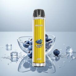 JNR Glod380 6000 Puhallus Mustikkajää + 1500mAh/1.0ohm/13ml