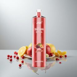 JNR Shisha 12000 Puffs Love 66 750mAh 24ml 0,6 Ohm mesh Type-C