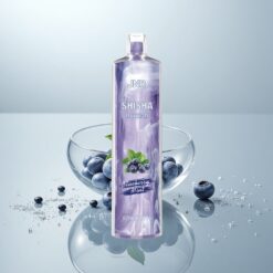 JNR Shisha 12000 Puffs Mustikka Mint 24ml-nestemäärä 750mAh-akku