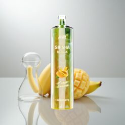 JNR Shisha Hookah 12000 Puff 750mAh 24ml 0,6 Ohm Mango-Banaani