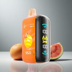 ELF BAR RAYA D3 25000 Puffs Kertakäyttöinen Vape Mango Persikka Vesimeloni 850mAh 23ml 5% Nikotiinia Type-C